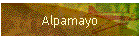 Alpamayo
