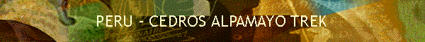 Cedros - Alpamayo