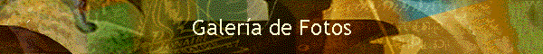 Galer�a de Fotos