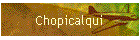 chopicalqui enriq